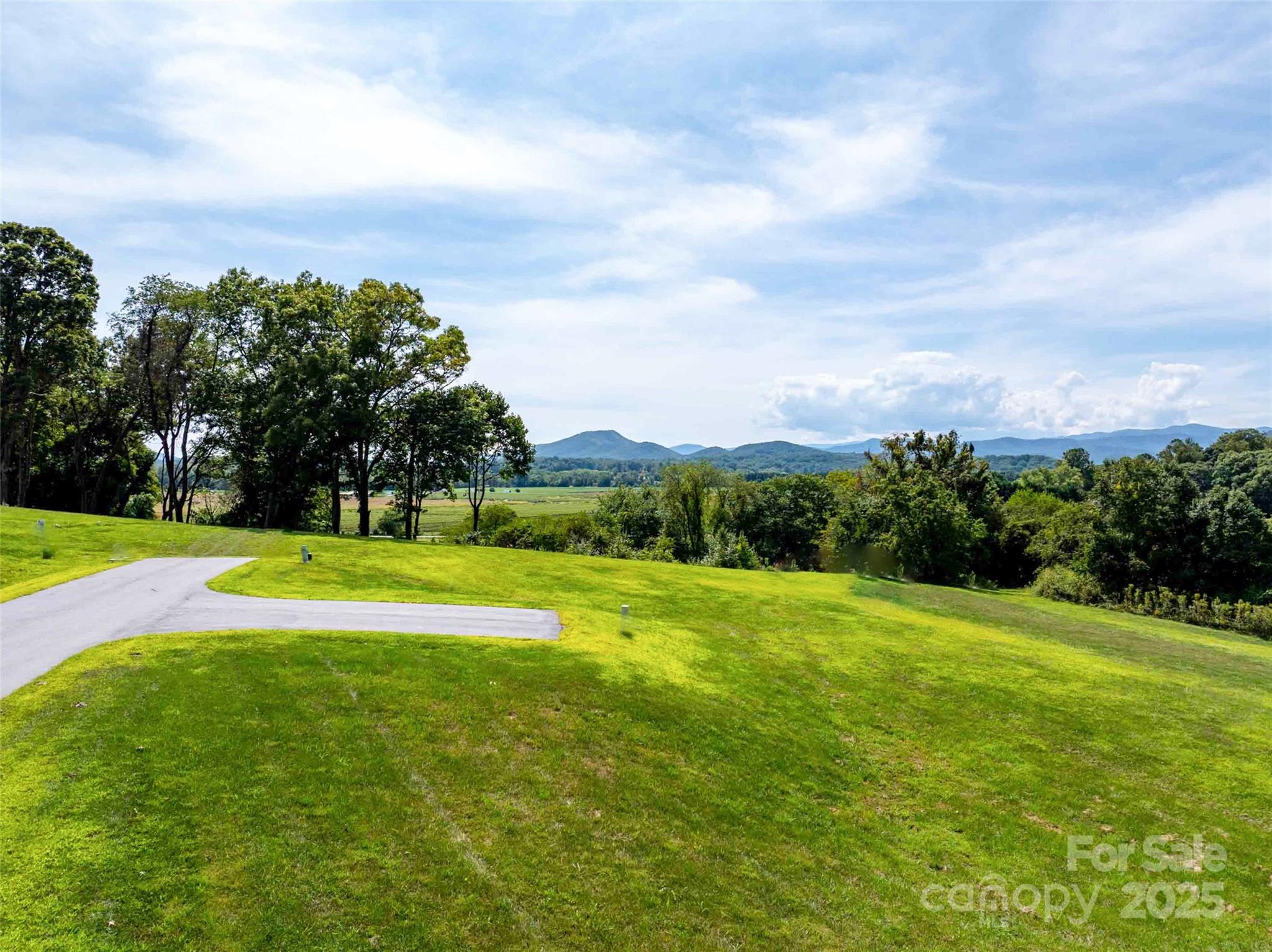 202 Soapstone Trail Mills River NC 28759