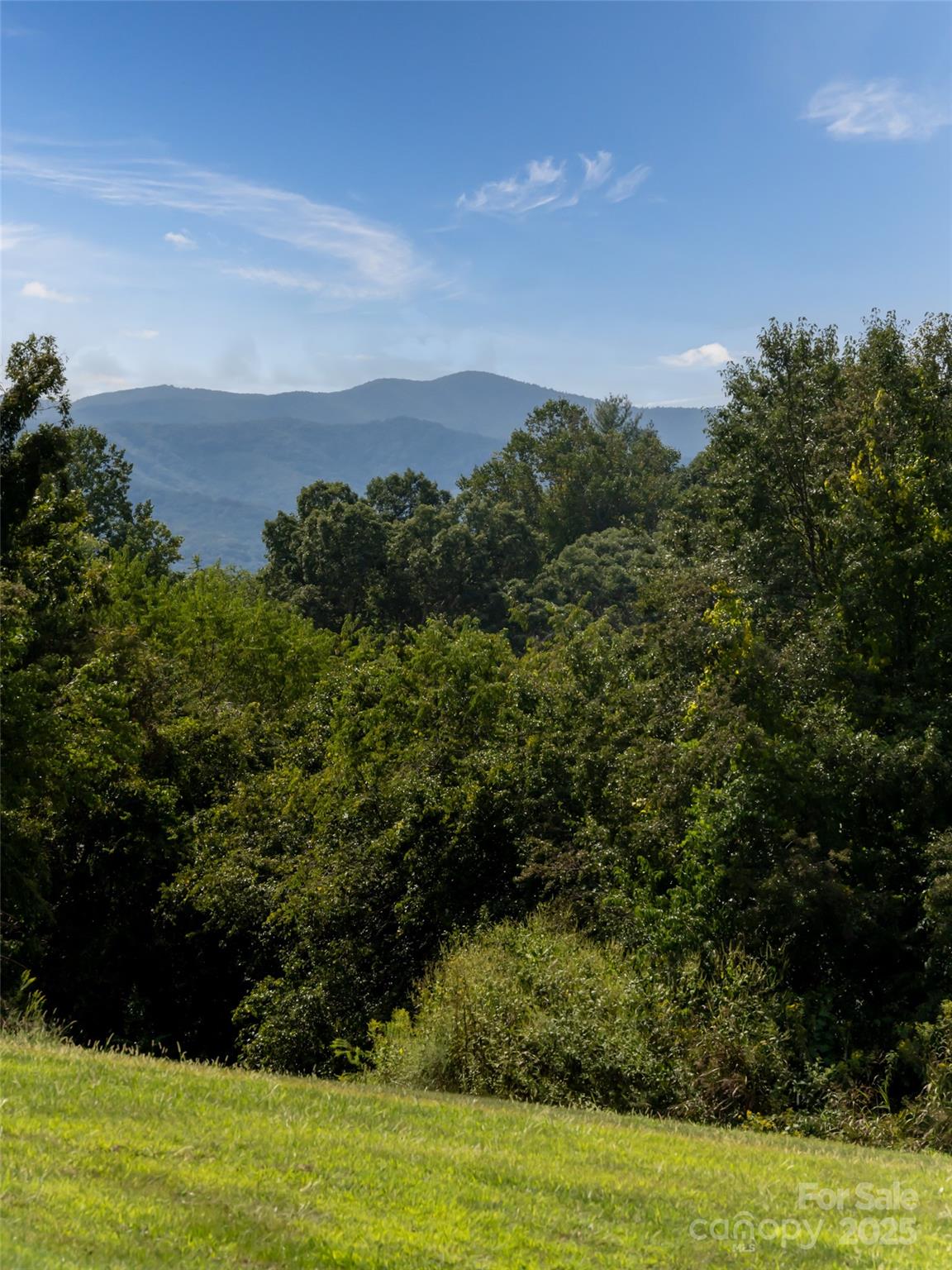 202 Soapstone Trail Mills River NC 28759