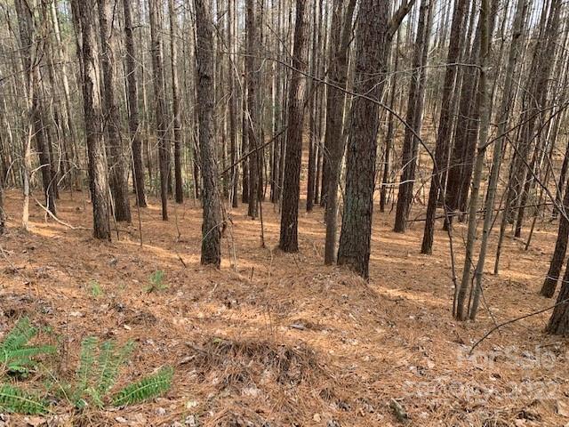 0 Chasewood Drive Rutherfordton NC 28139