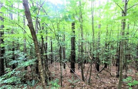 0 Chasewood Drive Rutherfordton NC 28139