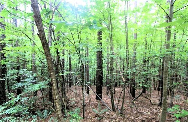 0 Chasewood Drive Rutherfordton NC 28139