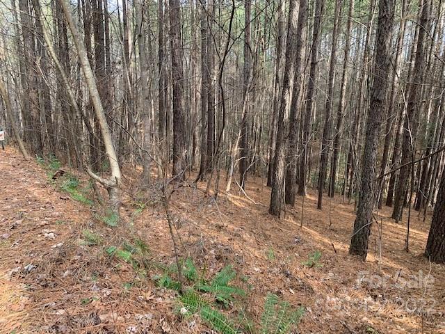 0 Chasewood Drive Rutherfordton NC 28139