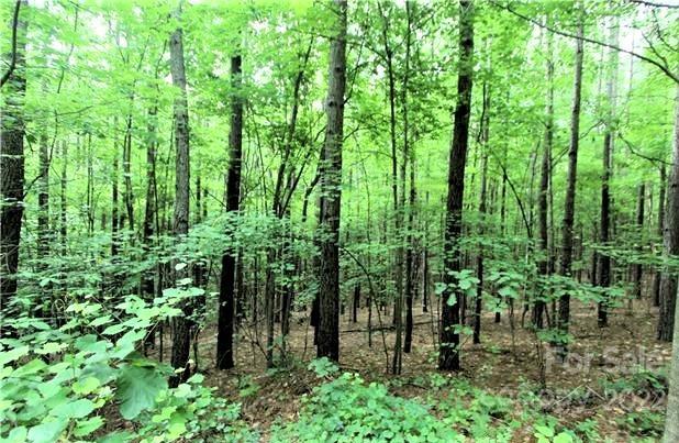 0 Chasewood Drive Rutherfordton NC 28139
