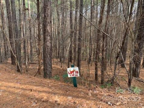 0 Chasewood Drive Rutherfordton NC 28139