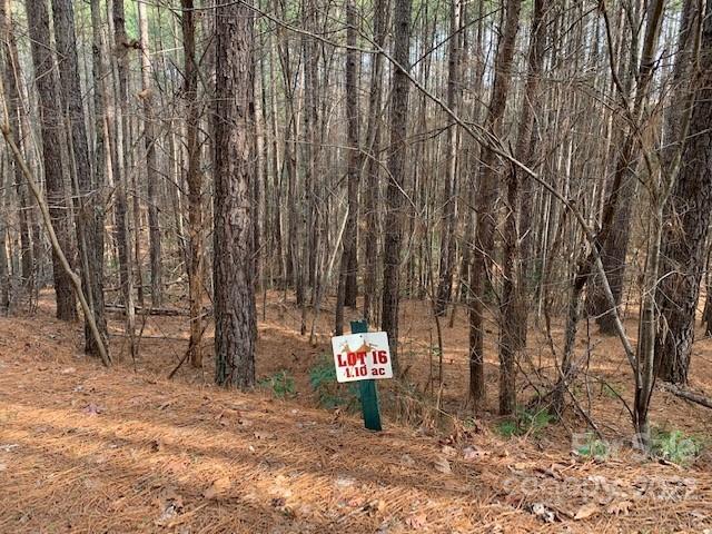 0 Chasewood Drive Rutherfordton NC 28139