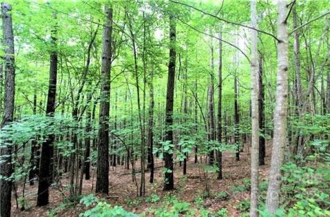 0 Chasewood Drive Rutherfordton NC 28139