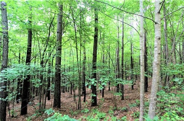 0 Chasewood Drive Rutherfordton NC 28139