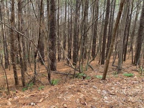 0 Chasewood Drive Rutherfordton NC 28139