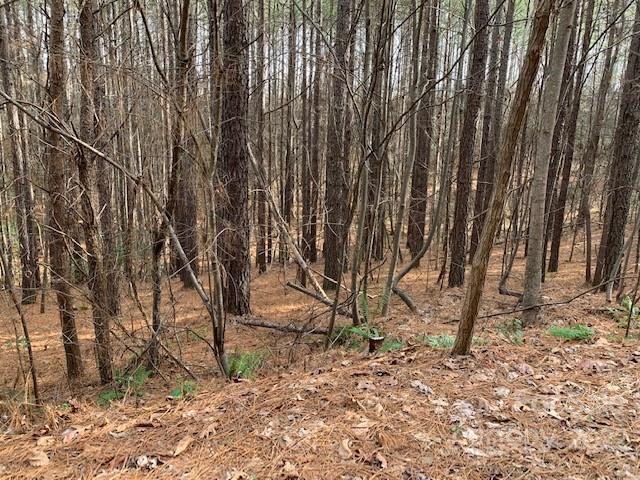0 Chasewood Drive Rutherfordton NC 28139