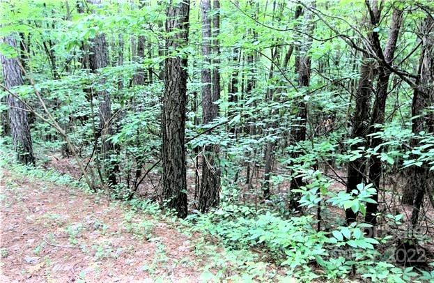 0 Chasewood Drive Rutherfordton NC 28139