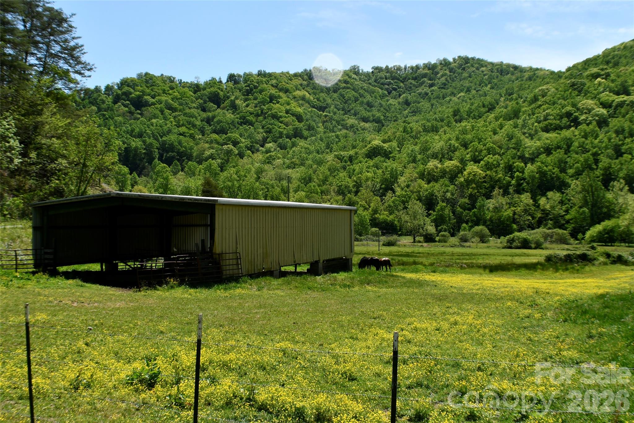 0 Caney Fork Road Cullowhee NC 28723