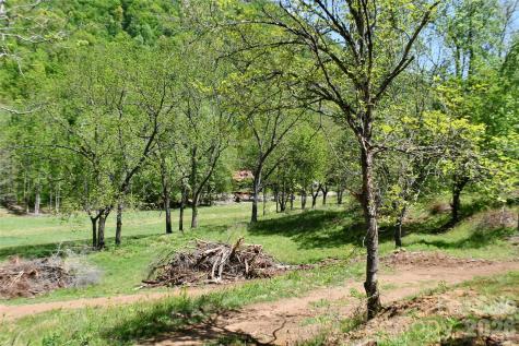 0 Caney Fork Road Cullowhee NC 28723