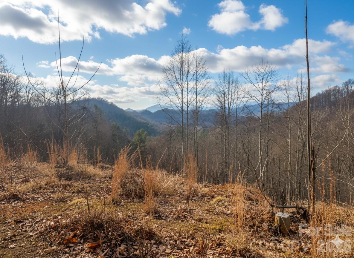 151 Thunderstruck Ridge Burnsville NC 28714