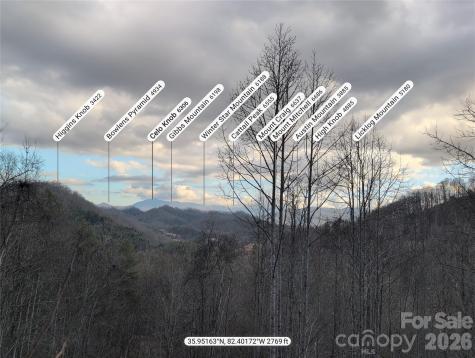 151 Thunderstruck Ridge Burnsville NC 28714