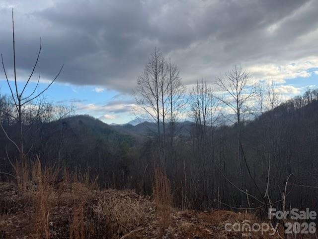 151 Thunderstruck Ridge Burnsville NC 28714