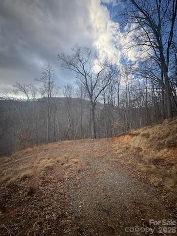 151 Thunderstruck Ridge Burnsville NC 28714