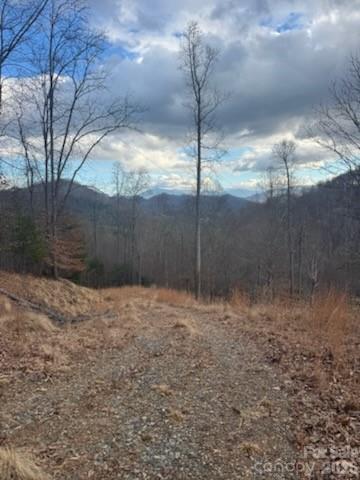 151 Thunderstruck Ridge Burnsville NC 28714