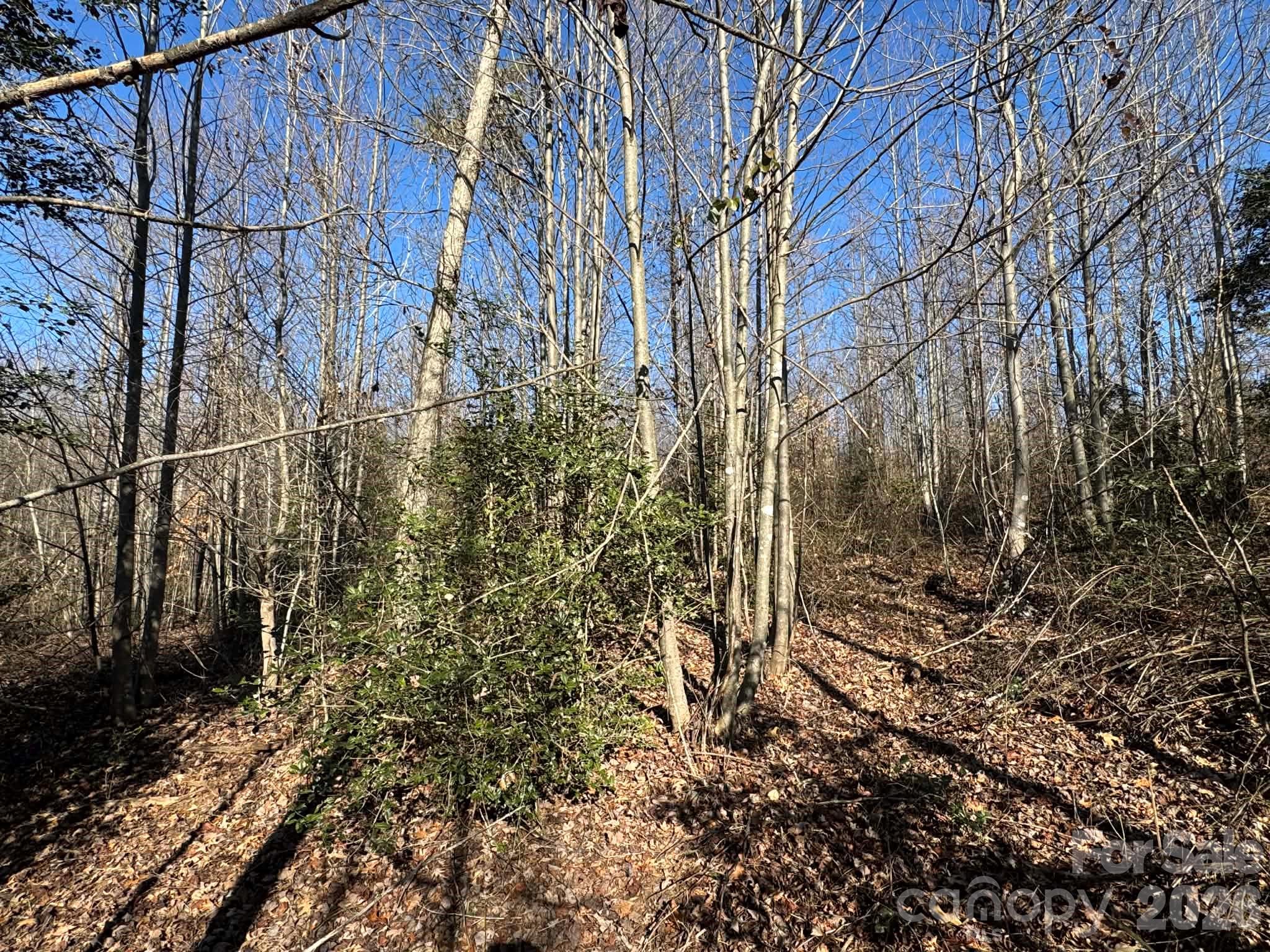 002 Rock Creek Church Road North Wilkesboro NC 28659