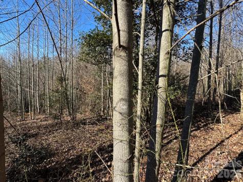 002 Rock Creek Church Road North Wilkesboro NC 28659