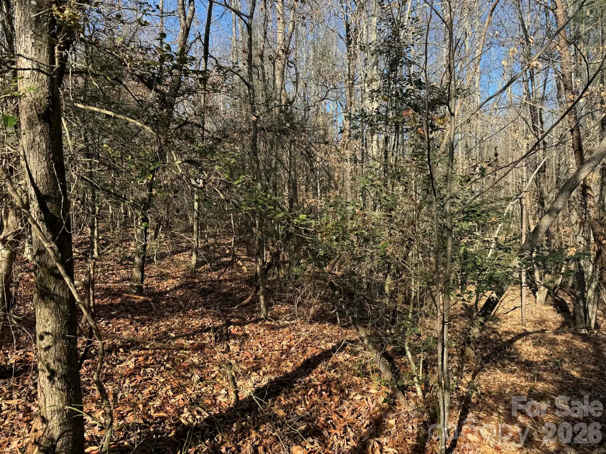002 Rock Creek Church Road North Wilkesboro NC 28659