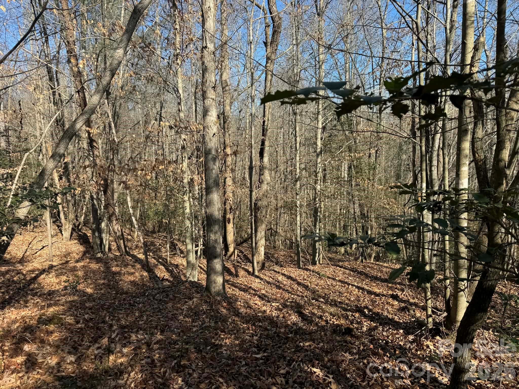 002 Rock Creek Church Road North Wilkesboro NC 28659