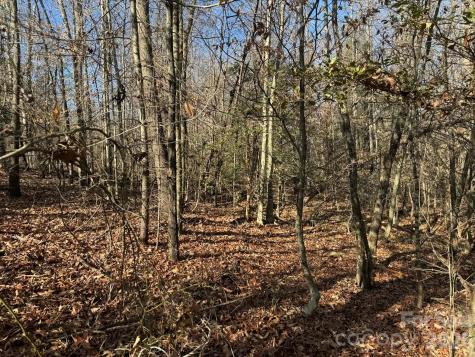 002 Rock Creek Church Road North Wilkesboro NC 28659