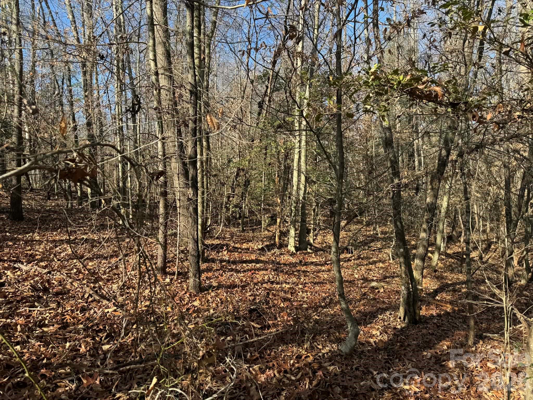 002 Rock Creek Church Road North Wilkesboro NC 28659