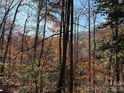 276 Cedar Creek Road Black Mountain NC 28711