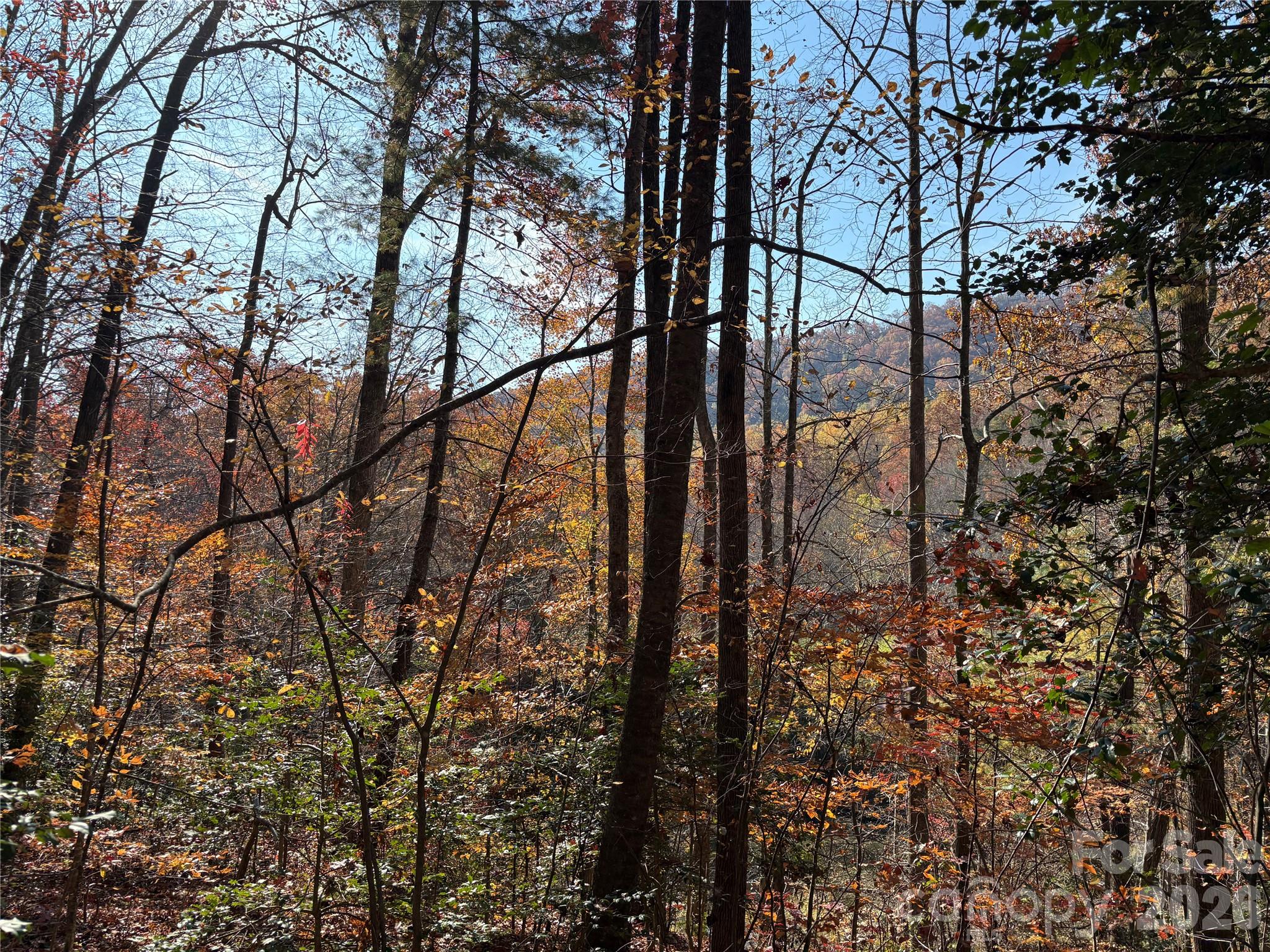 276 Cedar Creek Road Black Mountain NC 28711