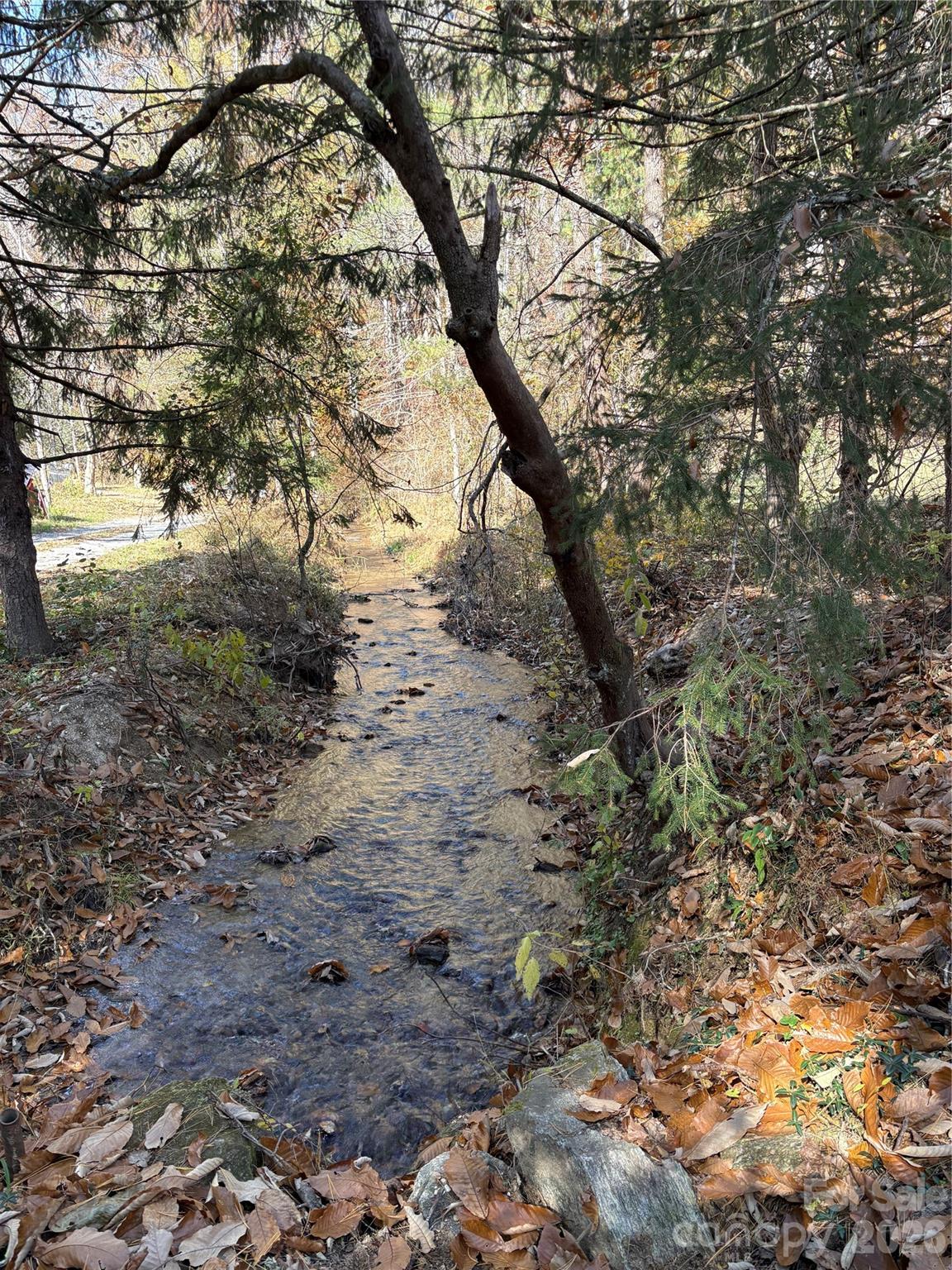 276 Cedar Creek Road Black Mountain NC 28711