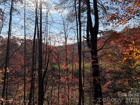 276 Cedar Creek Road Black Mountain NC 28711