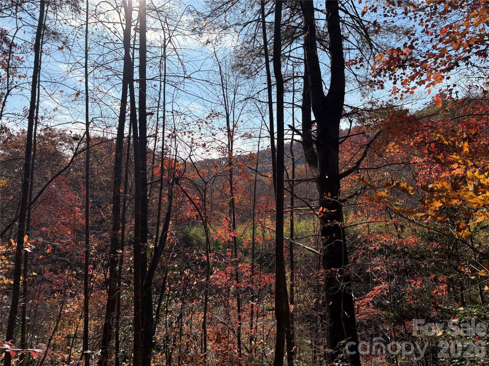 276 Cedar Creek Road Black Mountain NC 28711