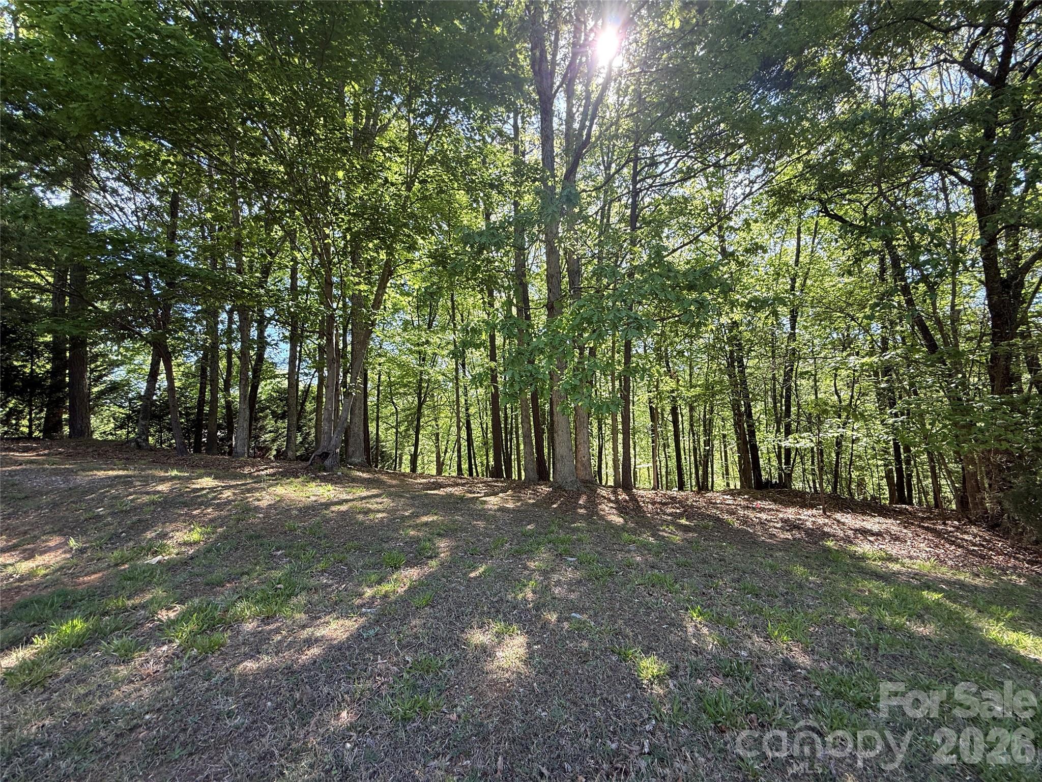 163 High Lake Drive Statesville NC 28677