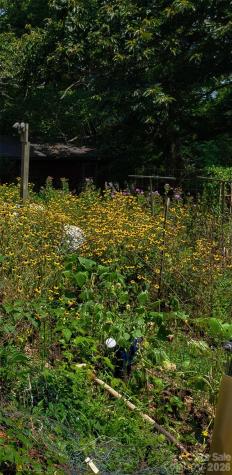 414 Beaucatcher Road Asheville NC 28805