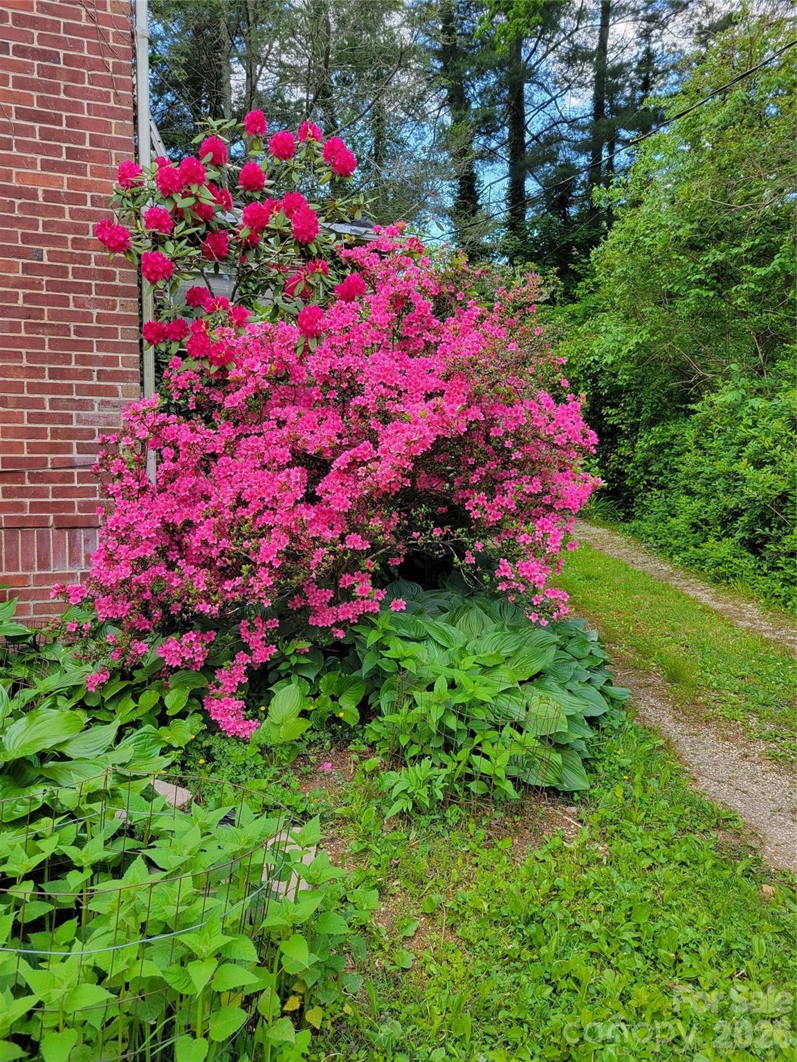 414 Beaucatcher Road Asheville NC 28805