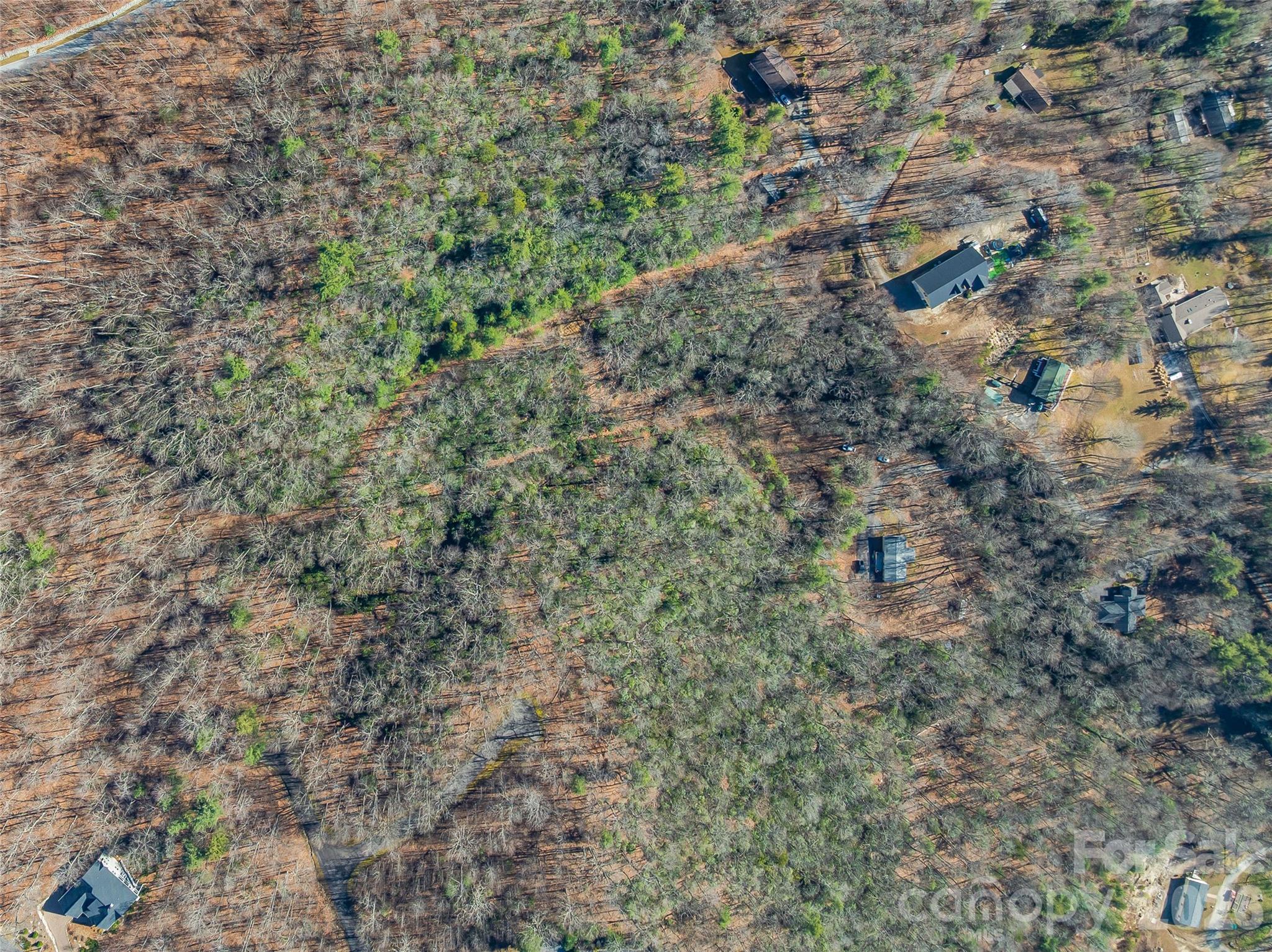 9999 Coy-evie Lane Laurel Park NC 28739