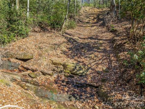 9999 Coy-evie Lane Laurel Park NC 28739