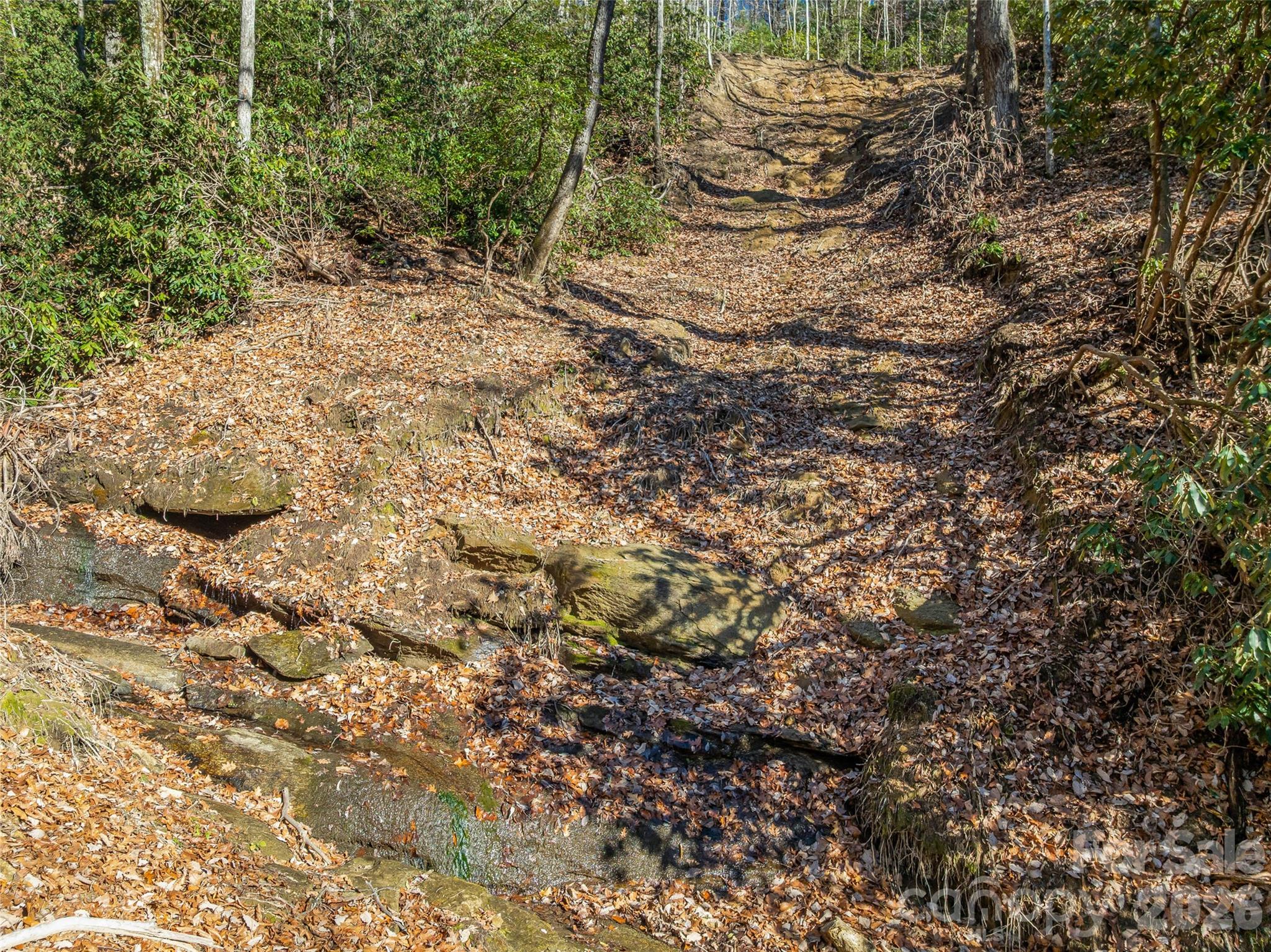 9999 Coy-evie Lane Laurel Park NC 28739