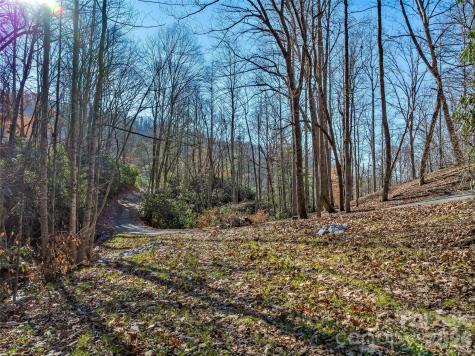 9999 Coy-evie Lane Laurel Park NC 28739