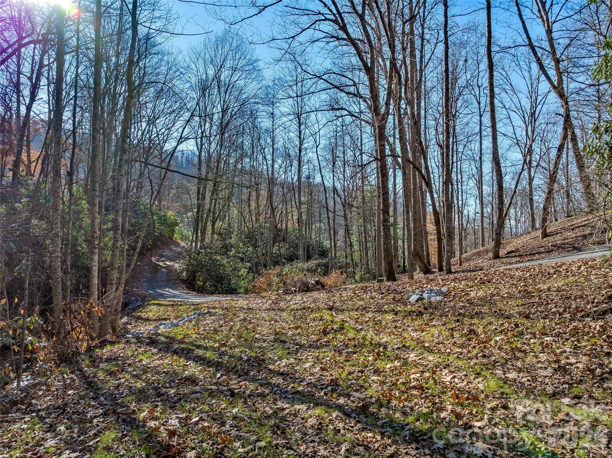 9999 Coy-evie Lane Laurel Park NC 28739