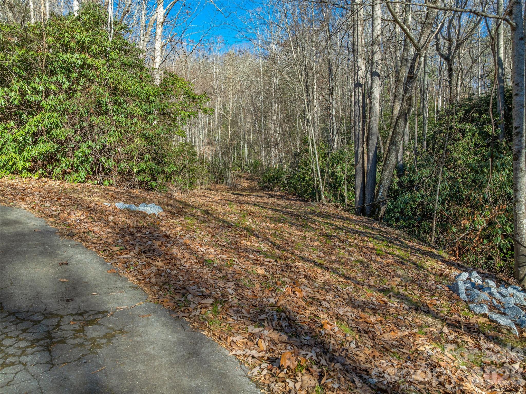9999 Coy-evie Lane Laurel Park NC 28739