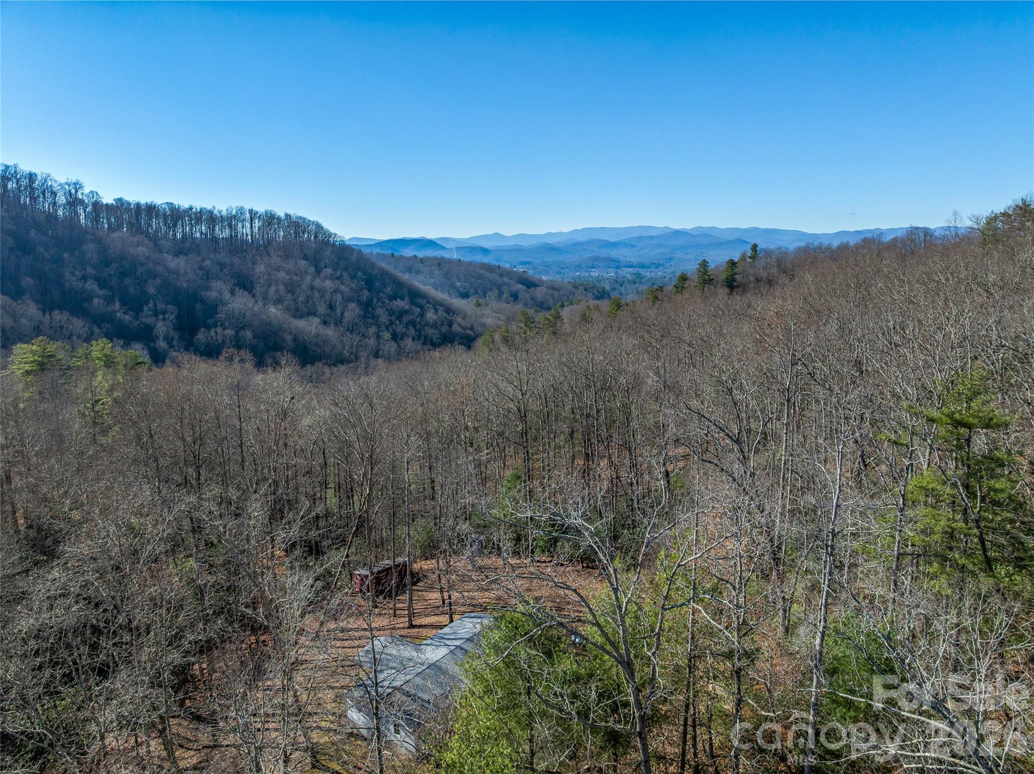 9999 Coy-evie Lane Laurel Park NC 28739