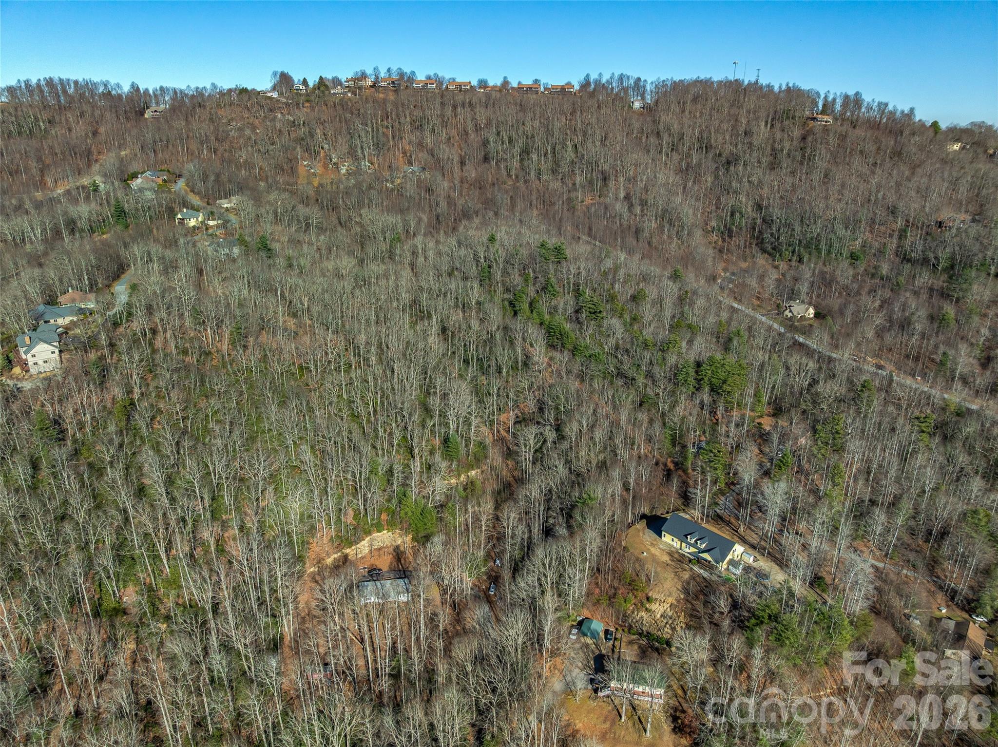 9999 Coy-evie Lane Laurel Park NC 28739