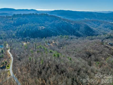 9999 Coy-evie Lane Laurel Park NC 28739