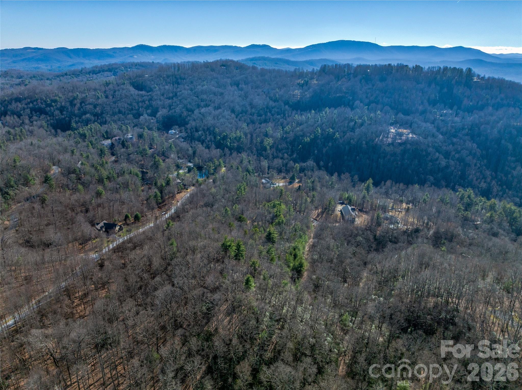 9999 Coy-evie Lane Laurel Park NC 28739