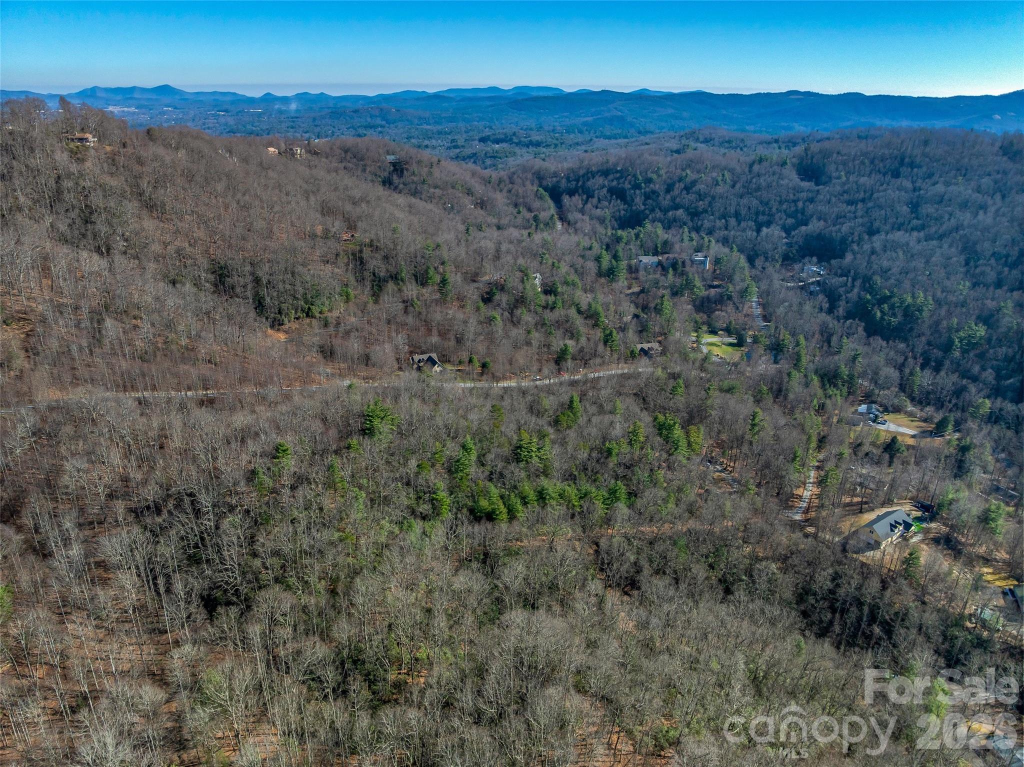 9999 Coy-evie Lane Laurel Park NC 28739