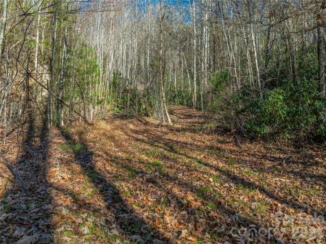 9999 Coy-evie Lane Laurel Park NC 28739