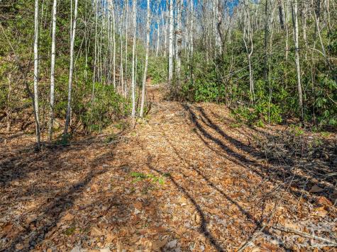 9999 Coy-evie Lane Laurel Park NC 28739