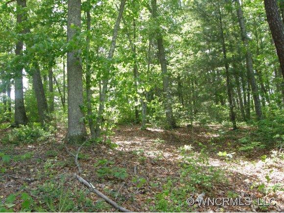 81 Bridgewater Drive Fletcher NC 28732