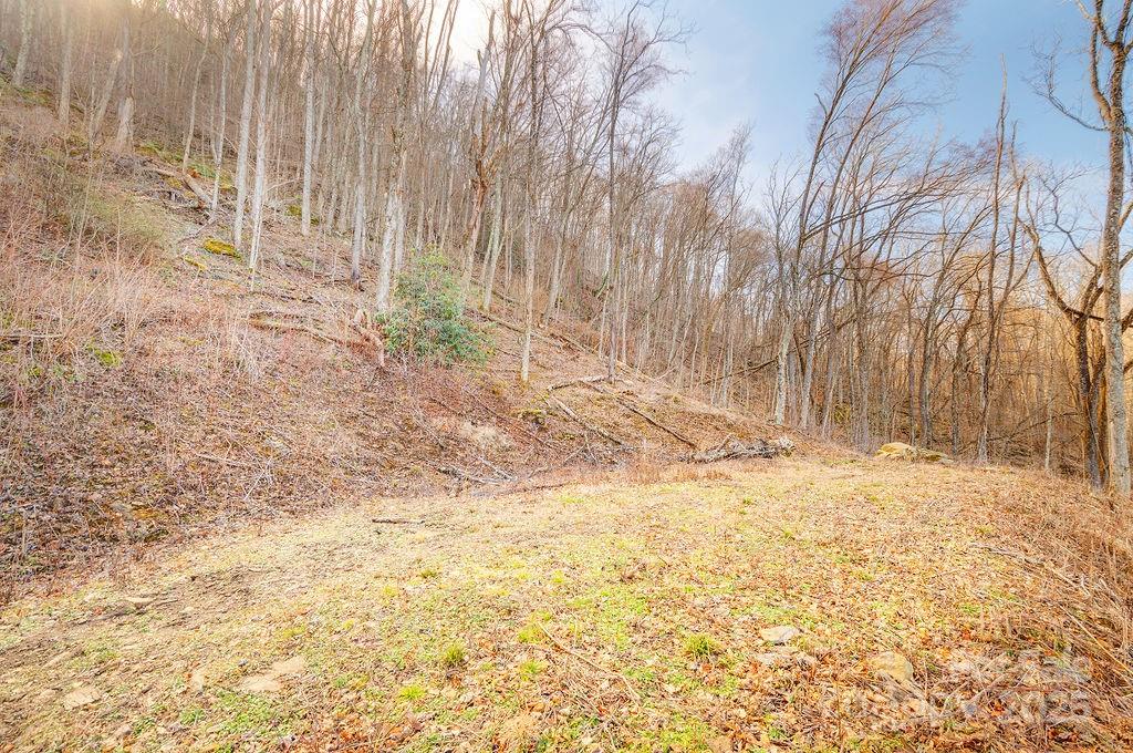 93 Patchens Estate Road Waynesville NC 28786